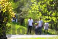 91亚洲国产成人久久精品麻豆-探索网络内容多样性的重要性，理性审视与健康选择