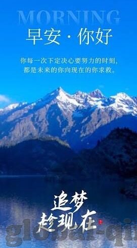 成人午夜老司机免费视频-成人午夜老司机免费视频，网络时代的隐秘角落与道德边界