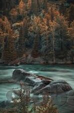 浪荡人妻攻略系统-浪荡人妻攻略系统，一场关于爱与救赎的虚拟之旅