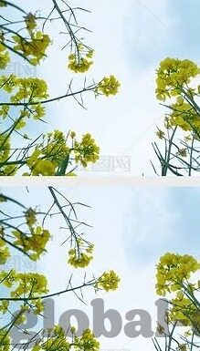 麻豆传媒2021在线观看-麻豆传媒2021在线观影的魅力探索