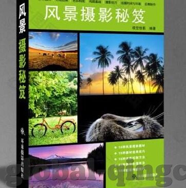 人妻人妻人人妻av-家庭角色与情感纽带，人妻的多元视角