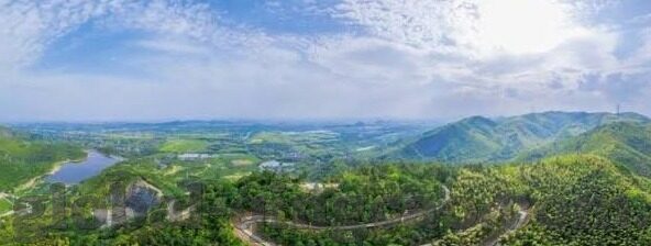 糖心app类似的软件-一篇文章，深入探讨蜜柚类App的兴起与影响